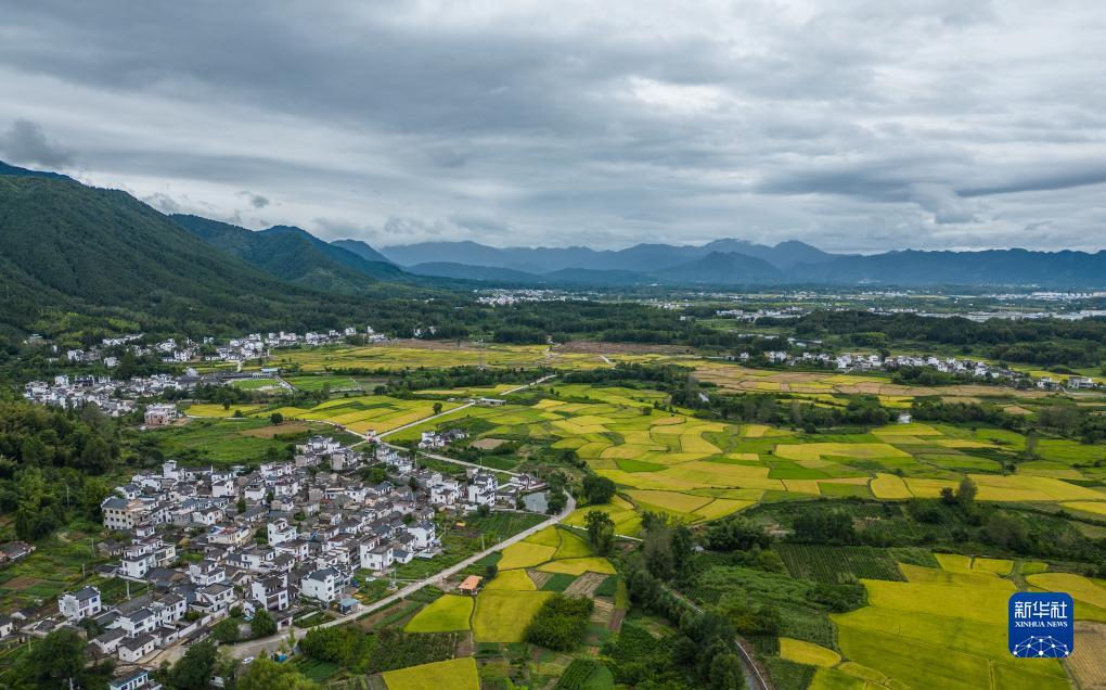 捕鱼注册送金